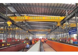 CE FEM/DIN Double Girder Overhead Crane Supplier