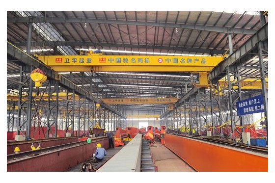 CE FEM/DIN Double Girder Overhead Crane Supplier CE FEM/DIN Double Girder Overhead Crane Supplier