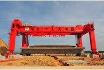 Basic knowledge of Weihua crane Basic knowledge of Weihua crane