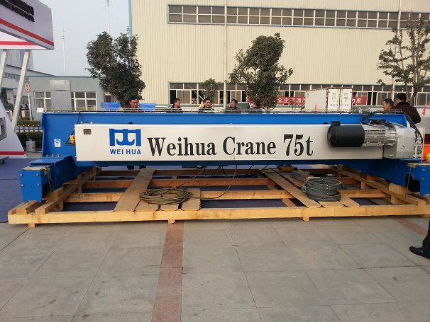 weihua crane FEM Electric hoist lifting cabinet